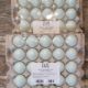 FIZI Perfectly Posh Bath Bombs-Beyond the Sea