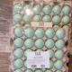 FIZI Perfectly Posh Bath Bombs-Too Cool